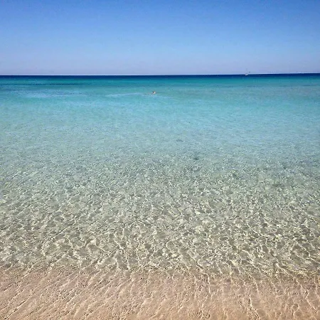 Bay Дом отдыха Бруколи